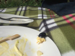 Deze mestkever wilde wel eens wat anders